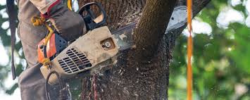Lawn Watering Services in Clyde, TX