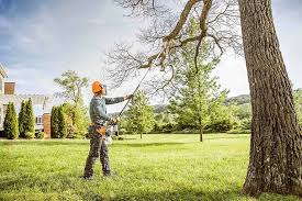 Best Lot and Land Clearing  in Clyde, TX